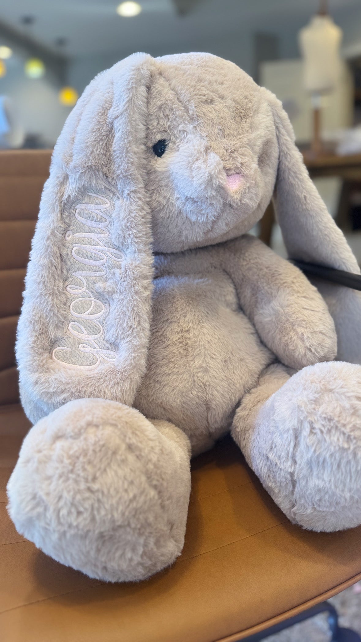 Jumbo Bunny