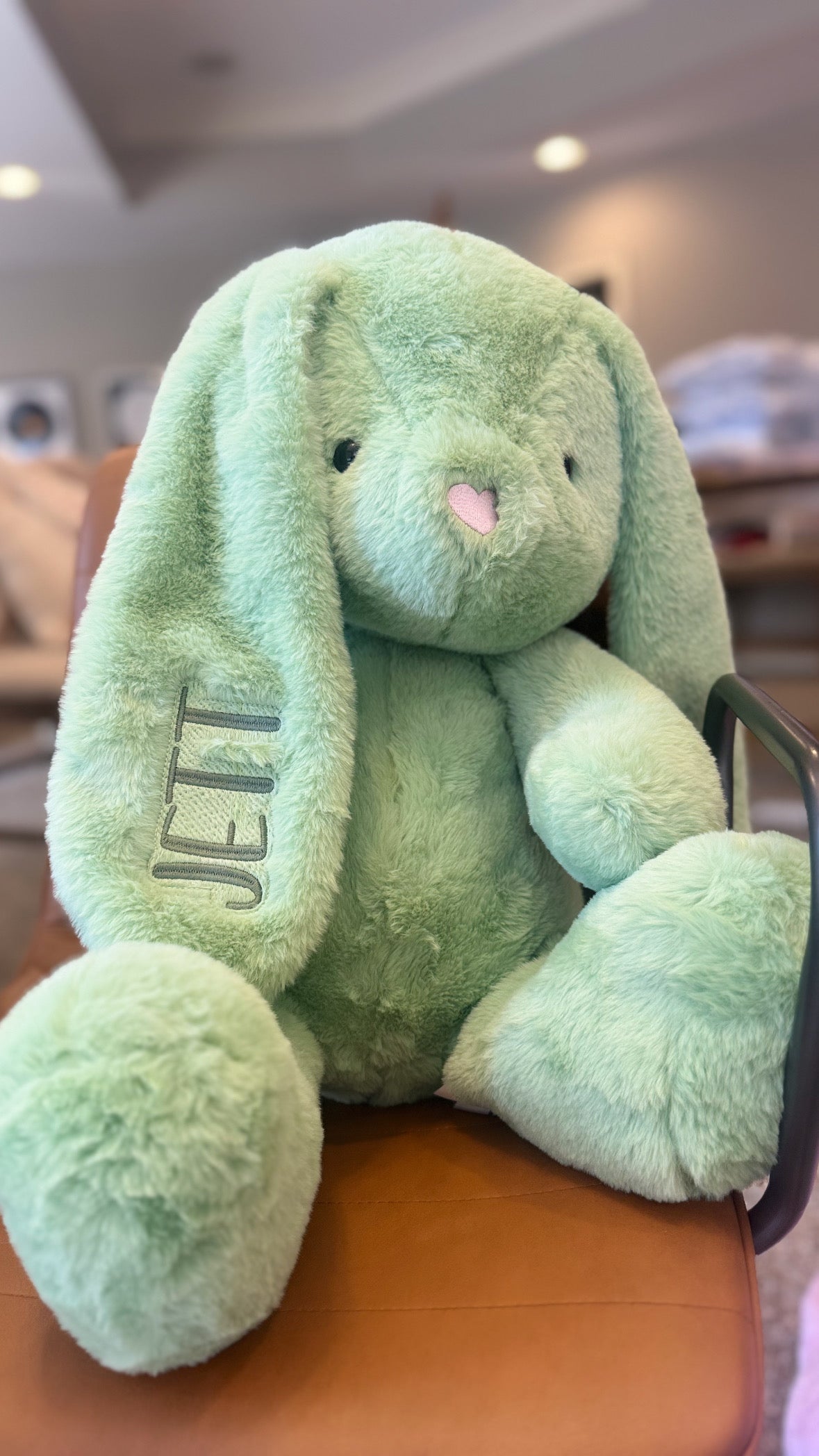 Jumbo Bunny